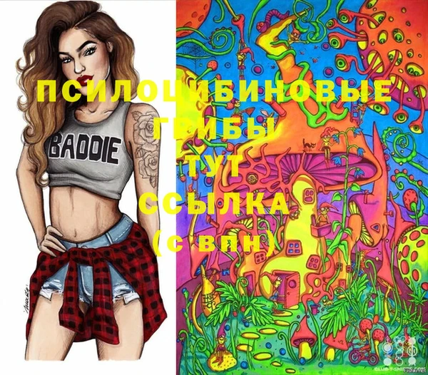 скорость Нефтекумск