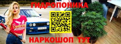 mdpv Тверь