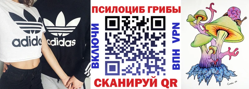 Псилоцибиновые грибы прущие грибы  цена наркотик  Прокопьевск 